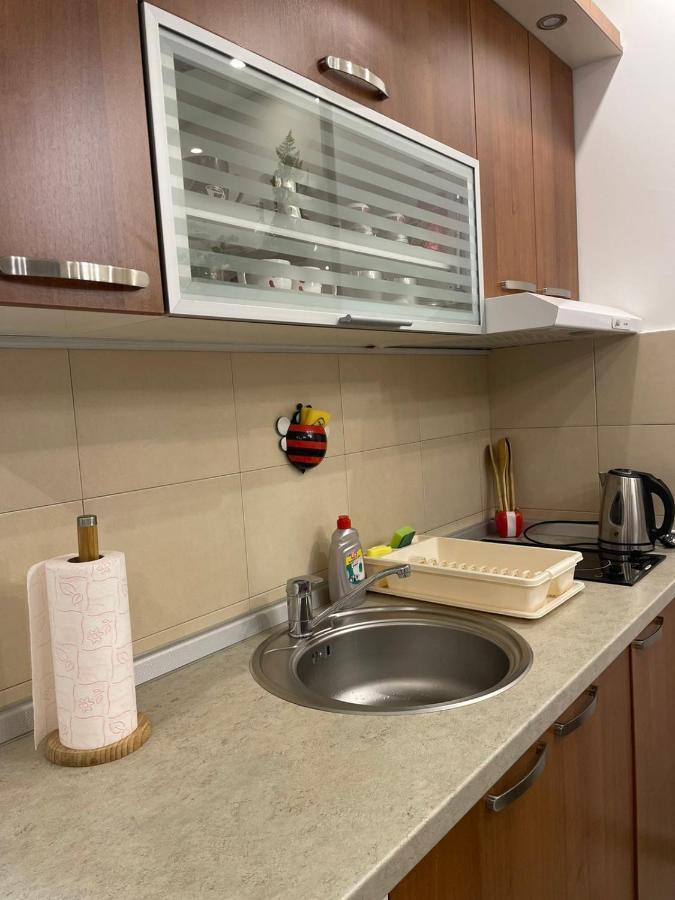 Vrnjačka Banja Vesna Apartman מראה חיצוני תמונה