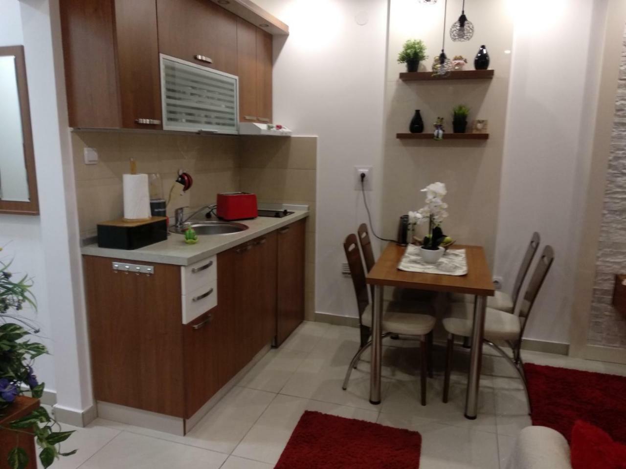 Vrnjačka Banja Vesna Apartman מראה חיצוני תמונה